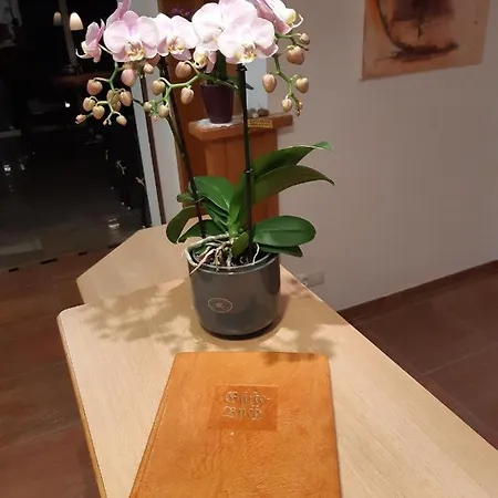 Hotel Bruno - Summer Card